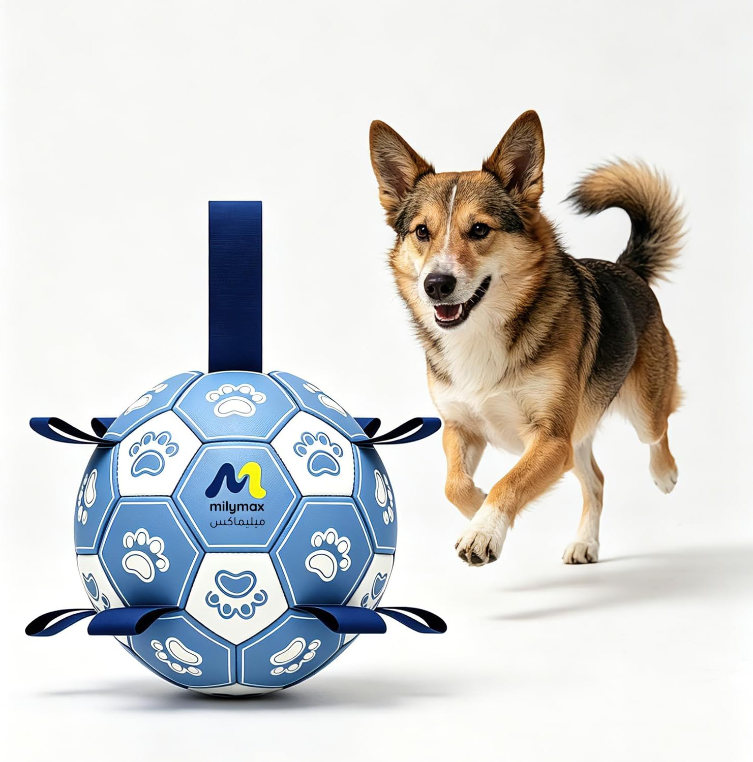 Interactive Dog Soccer Ball with Tug Straps (Blueberry Blue, M)